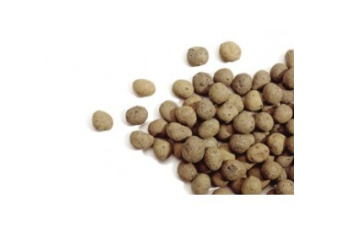 Keramzitas