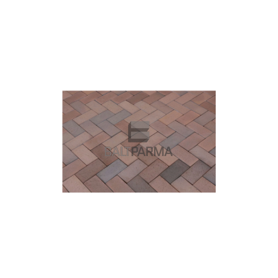 Lode klinkerio trinkelės Terra 200x100x52