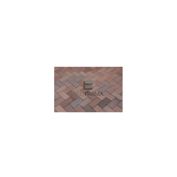 Lode klinkerio trinkelės Terra 200x100x52
